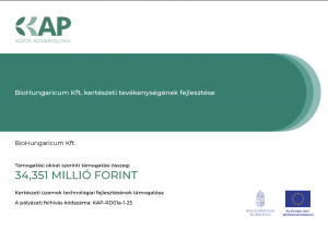 Képernyőfotó 2026-04-29 - 21.52.08